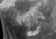 sat_ir_us2.gif (136781 bytes)